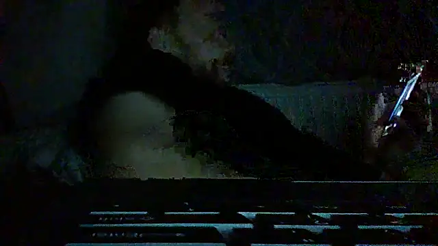 FROL83 Webcamshow