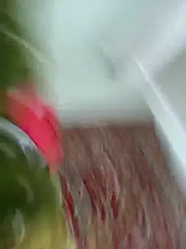 Show webcam de Pineapple04