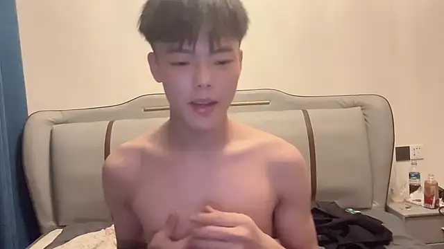 LY-0101 网络视讯表演