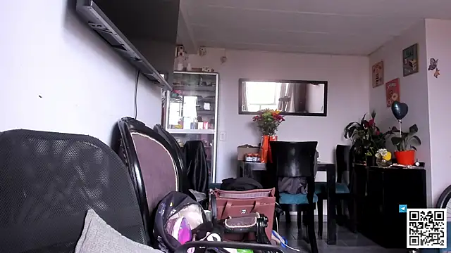 Chat +18 de seijaku_ ao vivo