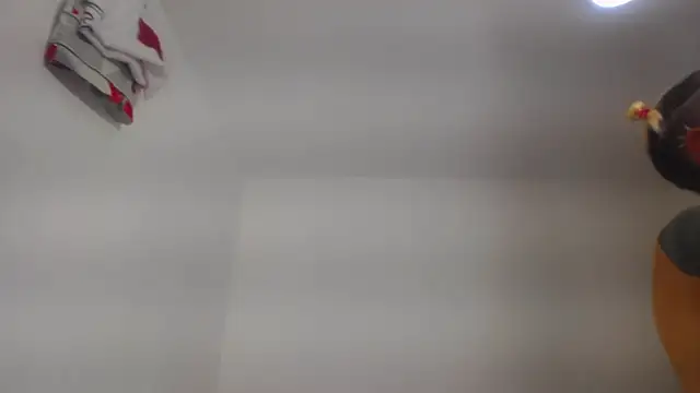 barbara_anal_squirt_: απευθείας συνομιλία ΧΧΧ