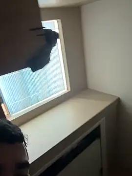 kelvin971011 webkamerás műsora