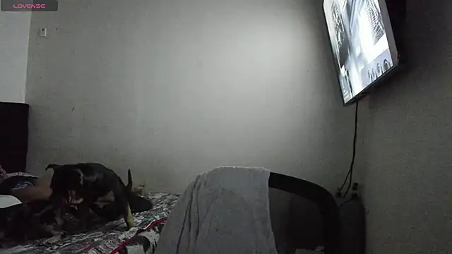 Chat XXX en directo de Vinaaly_