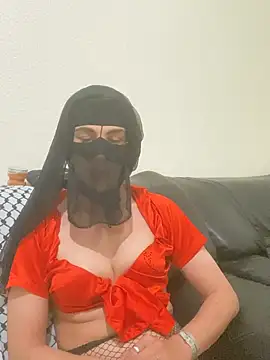 Ashwak_trans 网络视讯表演
