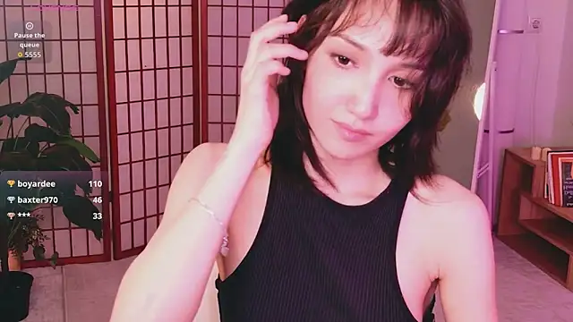 Show webcam de GentleMusee