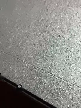 noah_ec webcam show