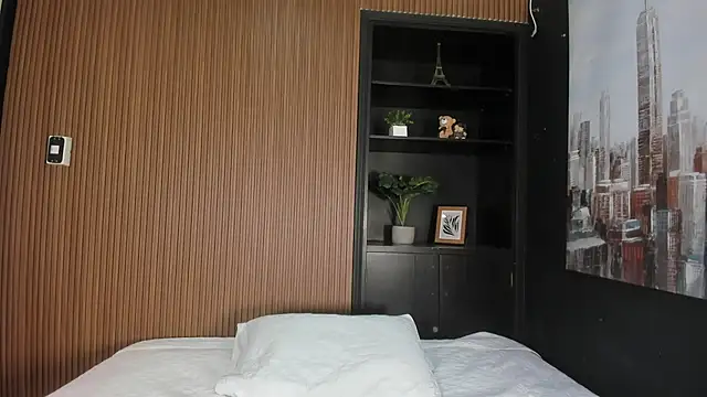 nahomyruselln Webbikameraesitys