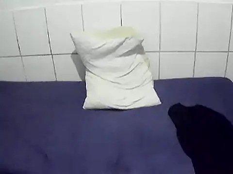 pierdona Show Webcam