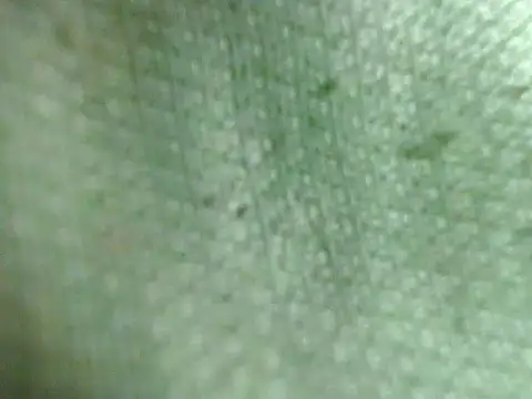 AwesomeMistress_Bigcock's Webcam Show