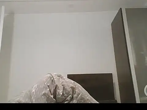 Show webcam de piggylatino