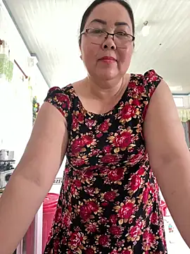 Alinat_n Webbikameraesitys