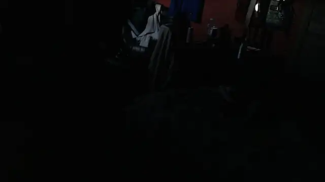 Show Webcam de bossdj2025