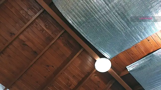 SilvaBranko's Webcam Show