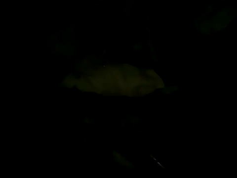 Онлайн чат XXX CabecaocwbprBrasil
