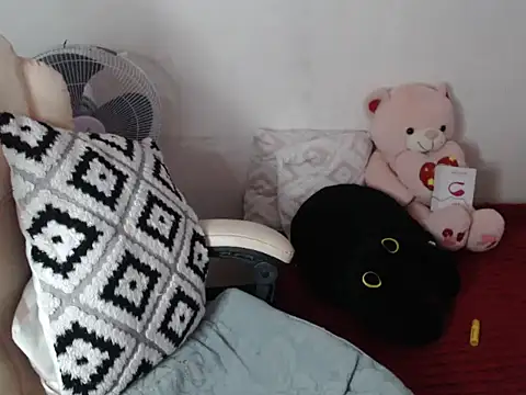 TransPetite1n Webbikameraesitys