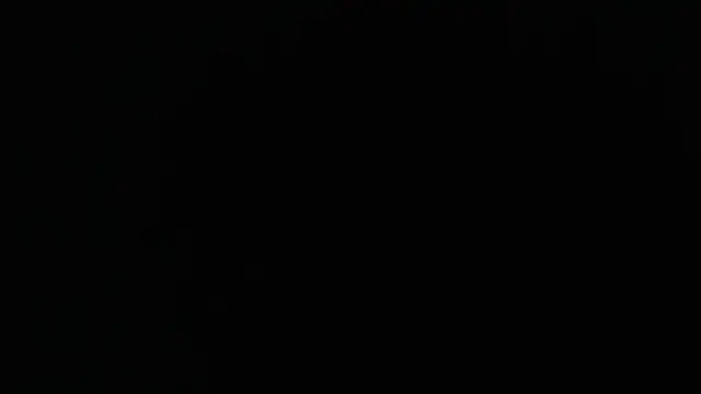 bossdj2025 Webcam Show