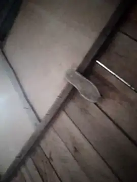davidav15 现场XXX聊天