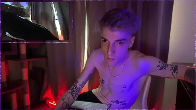 Show de davesinner na webcam