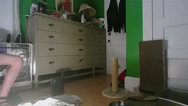 SadCatDaddy élő XXX-chatje