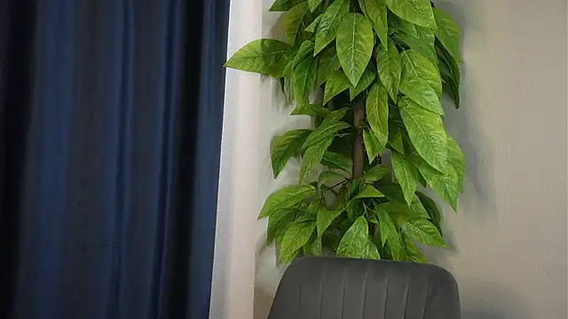 AshelyCapouch's Live XXX Chat