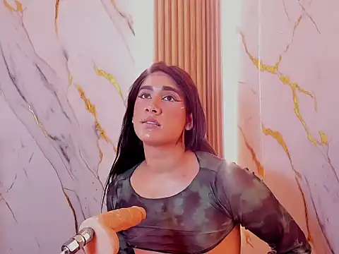 Marian_Cristaln Webbikameraesitys