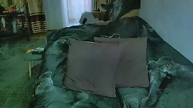 sex2 Pertunjukan Webcam