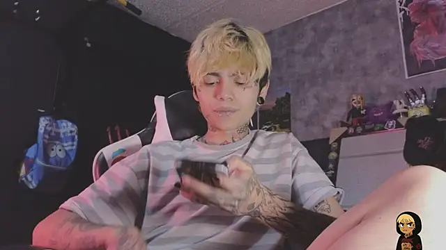 عرض كام AcidMilo