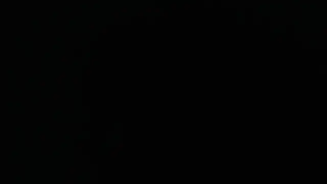 bossdj2025 Webcam-Show