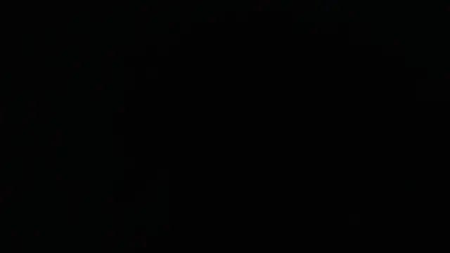 bossdj2025 webcam show