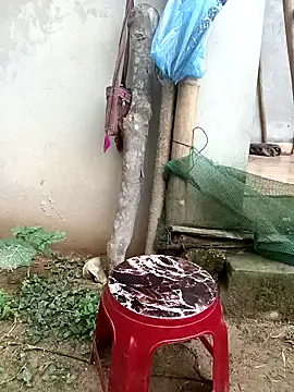Hoa-tuylip – Naživo XXX chat