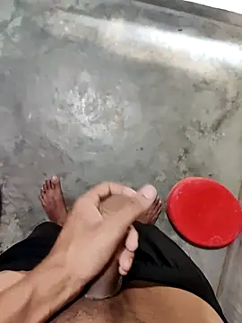 DeshiTiger Webcam-Show