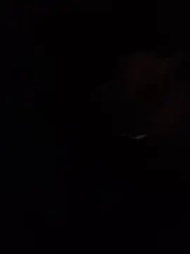 iamxandertv 网络视讯表演