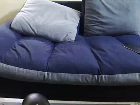 عرض كام Arabeyes