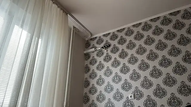 Show modela tomasdickpick na web-kameri