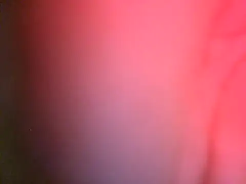 Czat XXX na żywo – Xoc8_