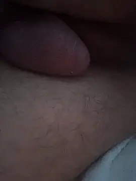 Show Webcam de Carlosbigz