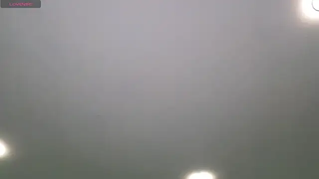 Zoe_Zephyrのウェブカメラショー