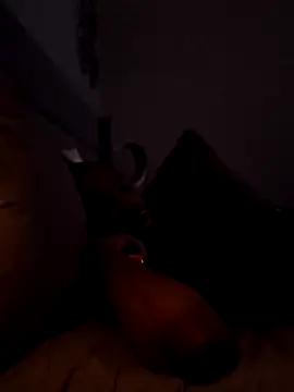 luxvibes webcam show