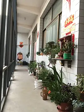 yaocaobi8 网络视讯表演