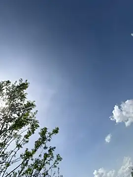 TARKAN1 现场XXX聊天