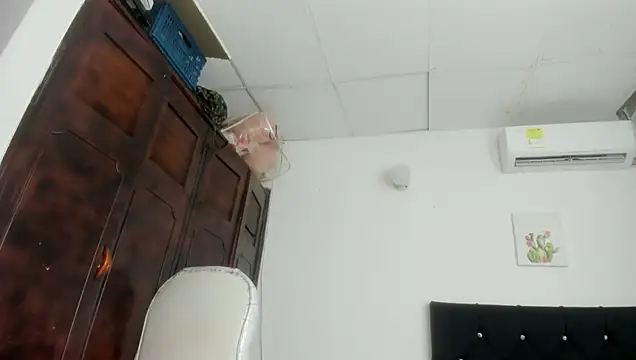 Show webcam de barbie_ds