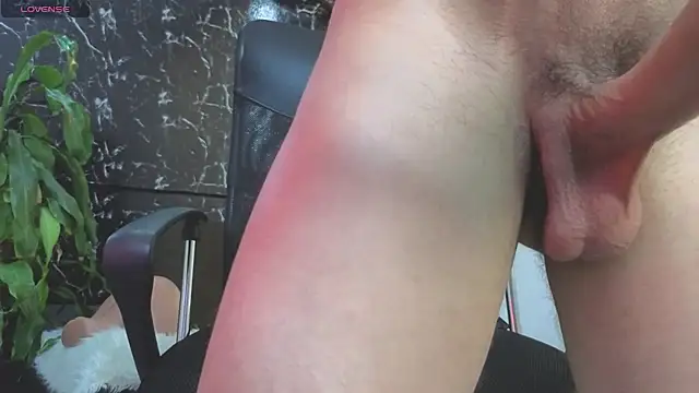 Webkamerová show Alexander_ferre