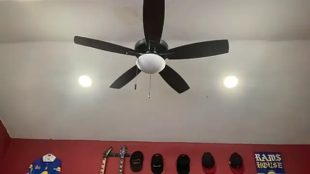 bossdj2025's Webcam Show