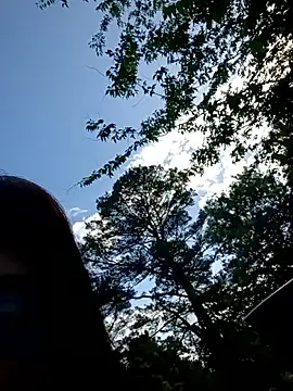 whitetrashdirtyslut's Webcam Show