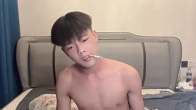 LY-0101 Show Webcam