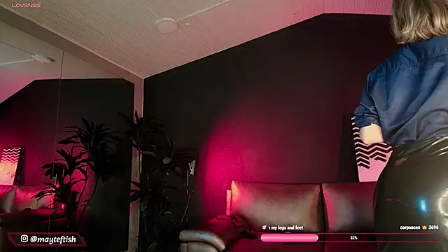 MyMayte Show Webcam