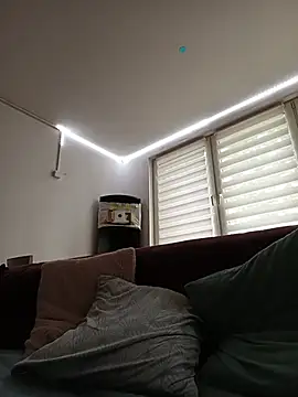 mp863 Show in webcam