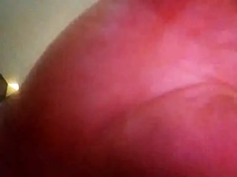 toyxltestern Live XXX chat