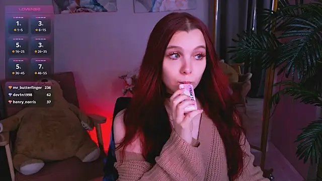 shyaishan Webbikameraesitys