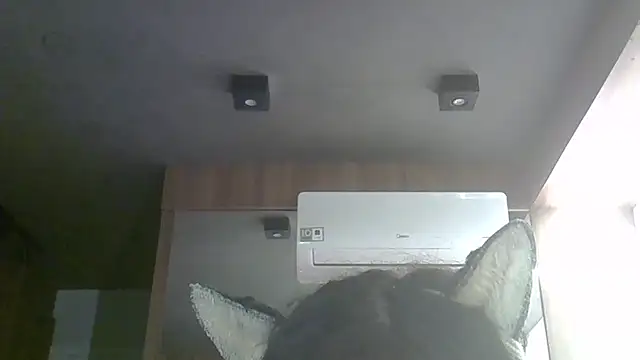 SkinnyKitten 现场XXX聊天